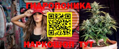 мдпв Можга