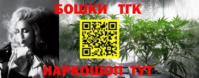 мдпв Можга
