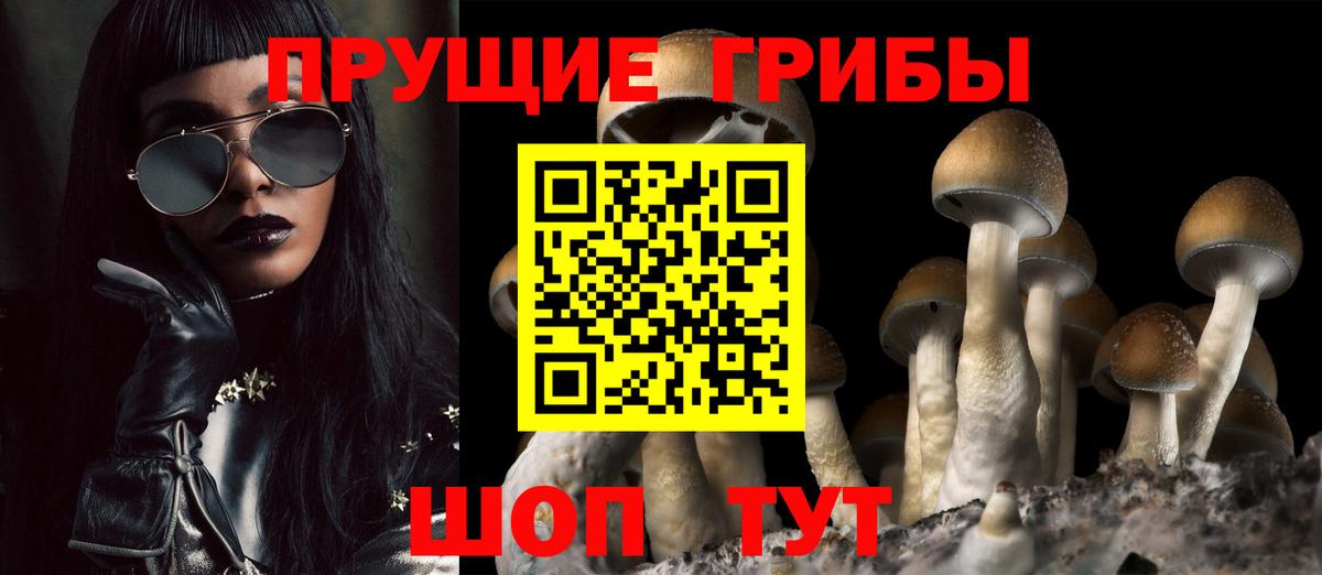 Псилоцибиновые грибы MAGIC MUSHROOMS  где продают   Ульяновск  Вход с VPN 
